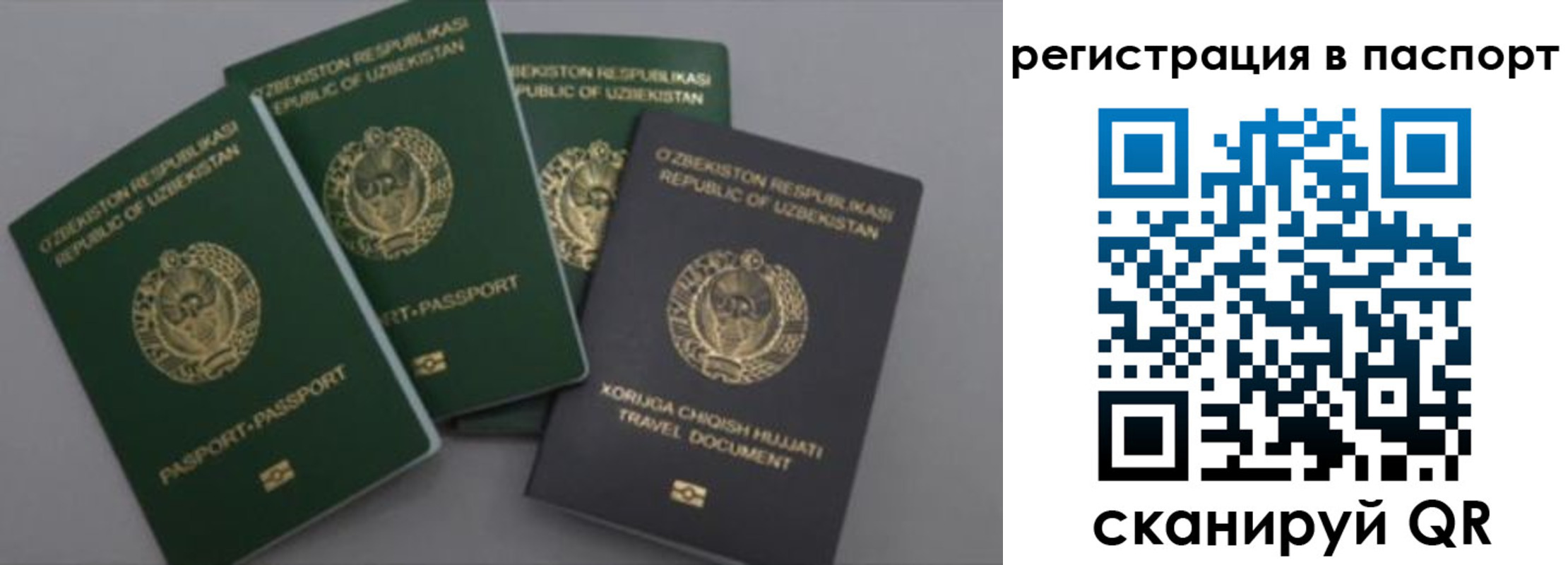 прописка от собственника в Таре